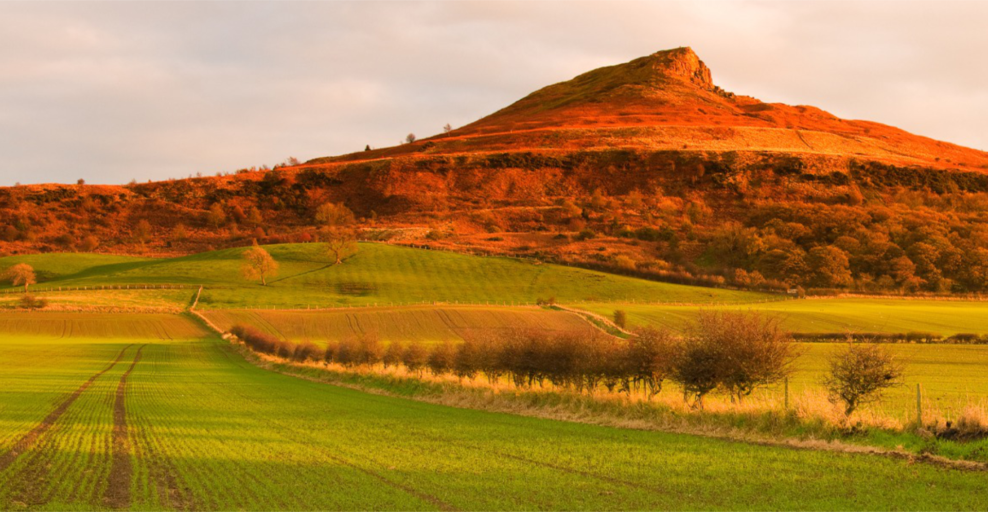 Roseberry Topping Cottages