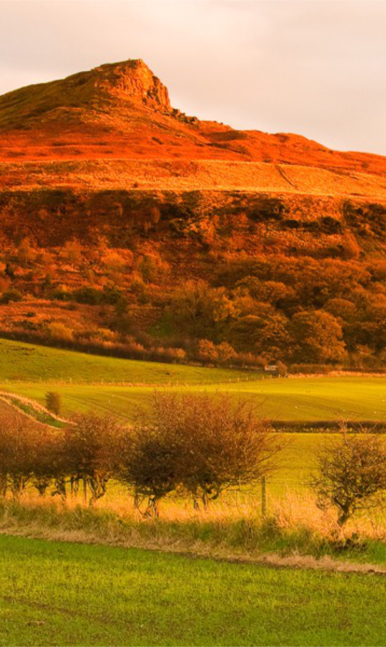 Roseberry Topping Cottages